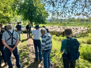Vogelexcursie Dwingelerveld