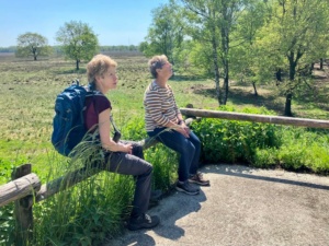 Vogelexcursie Dwingelerveld