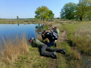 Vogelexcursie Dwingelerveld
