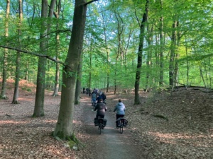 Vogelexcursie Dwingelerveld