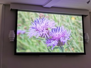 Natuurwerkgroep presentatie