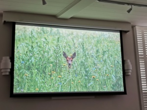 Natuurwerkgroep presentatie