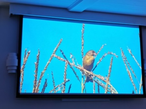 Natuurwerkgroep presentatie