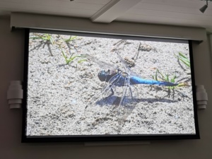 Natuurwerkgroep presentatie