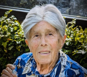 Geziena Maria Louisa Heuvels
