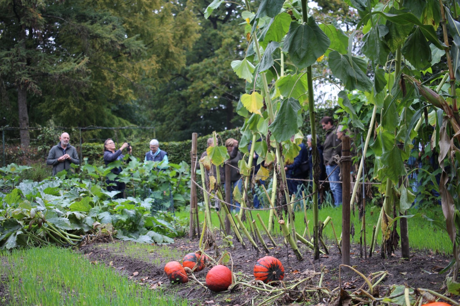 Excursie Brecklenkamp