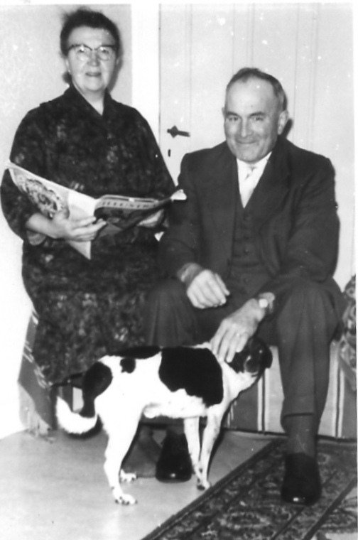 Johannes Hermannus Bolscher