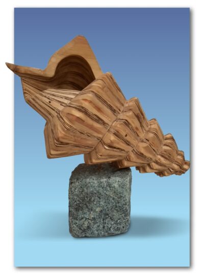 Houten schelp Tunnis Linker