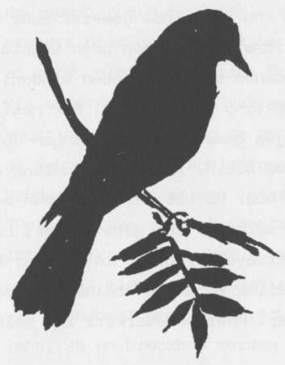 Kramsvogel