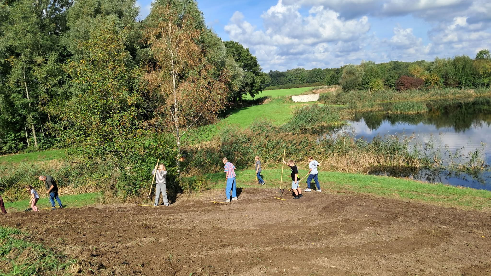 Bloemenmengsel Waterzuivering