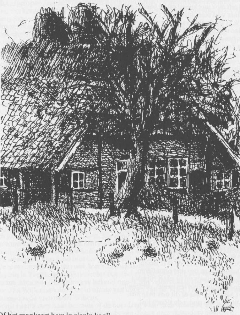 Hans Snoeyink
