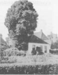 Lindenboom 1987